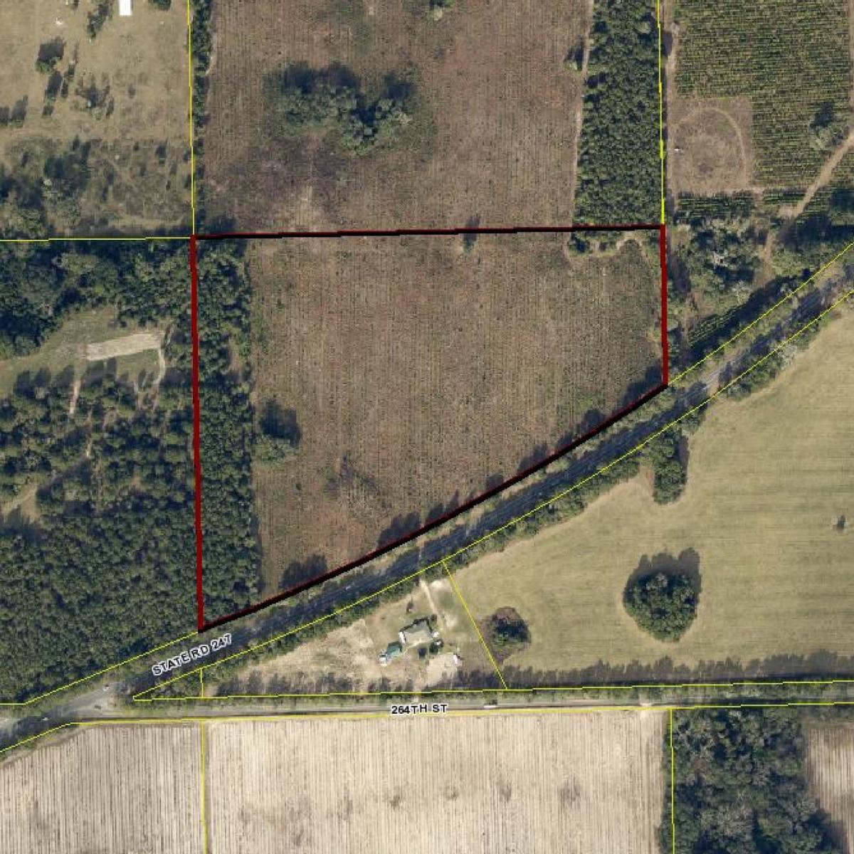 24 acres - Branford, Suwannee County - aerial map