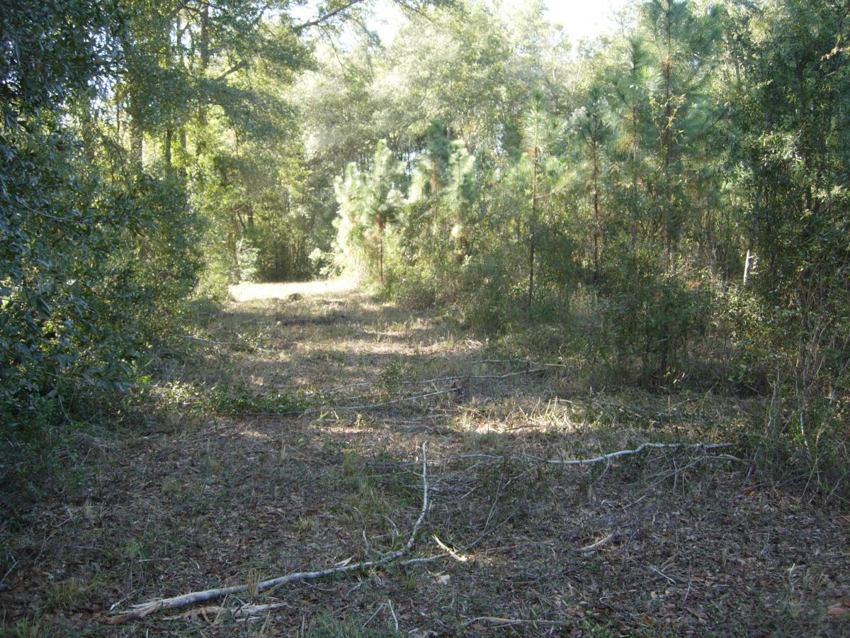 24.71 Acres Branford, FL Blue Sky Properties, Inc