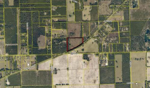 24 acres - Branford, Suwannee County - aerial