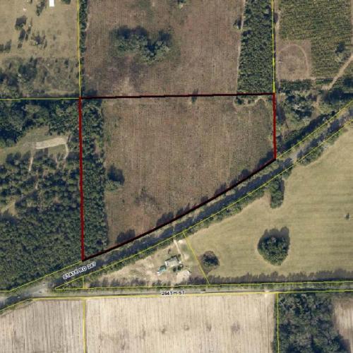 24 acres - Branford, Suwannee County - aerial map