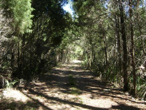 Access road to 80 acres