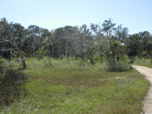 Cleared area and hardwoods