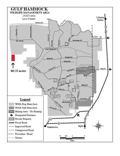 Gulf Hammock Wildlife Management Area