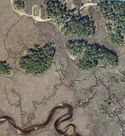 Hardwoods  tidal creek South 40 Acres