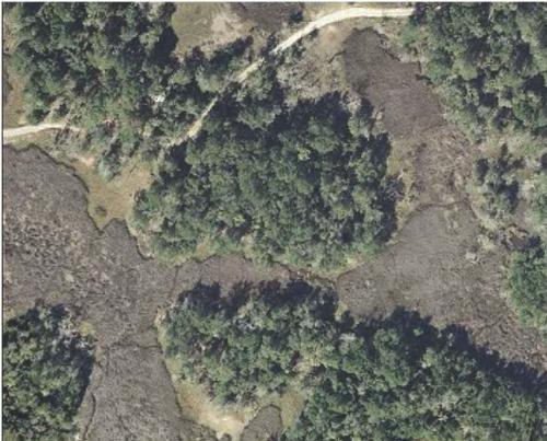 Hardwoods Aerial South 40 Acres