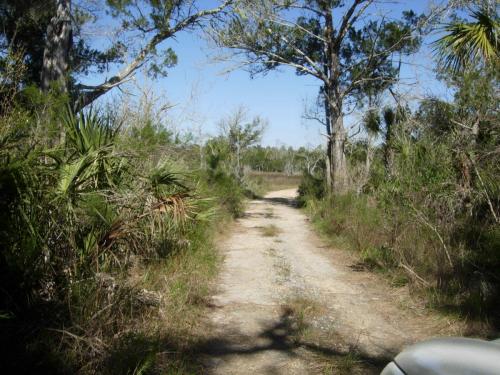 Private road on property
