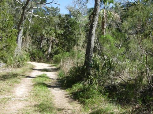 Private road on property 2
