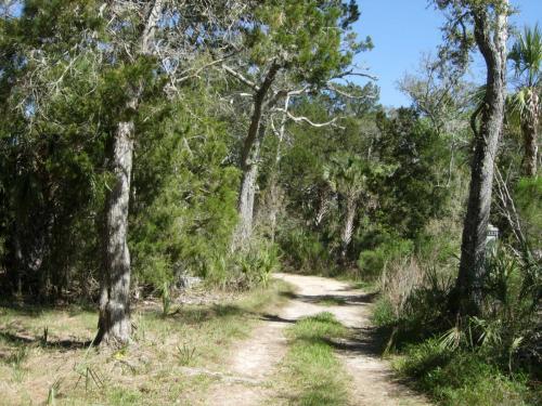 Private road through hardwoods