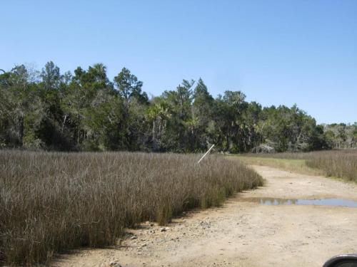 View of state land from property